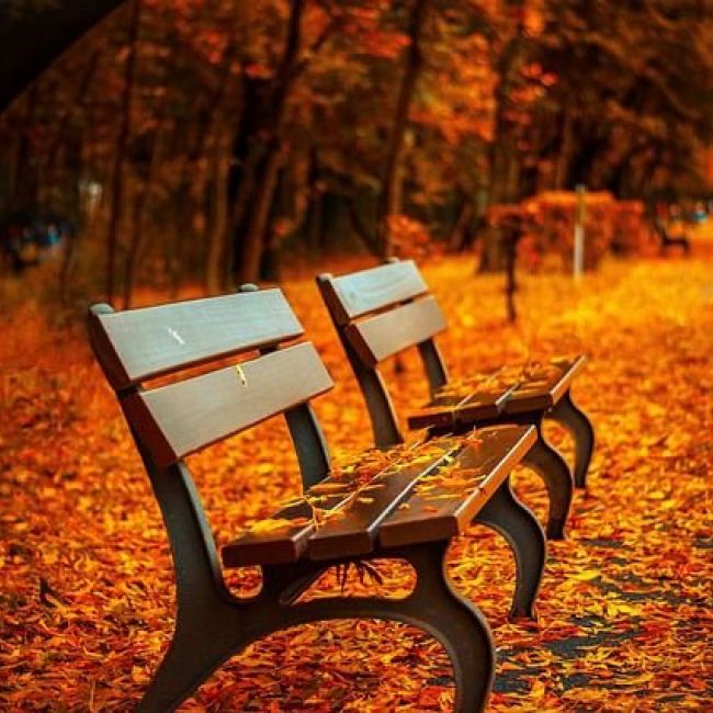 bench 560435 640 bench 560435 640