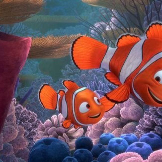 Por que el inicio de Buscando a Nemo era tan tragico landscape